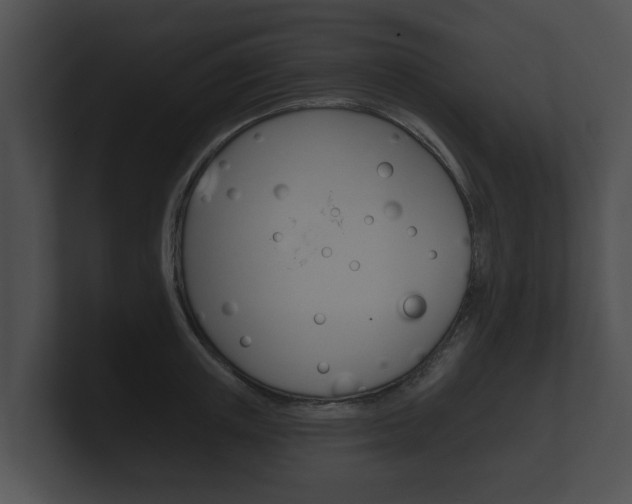 X0000100890851200806241007