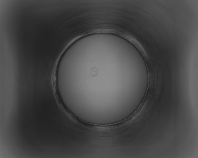 X0000100890852200806241007