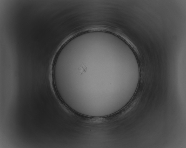 X0000100890853200806241007