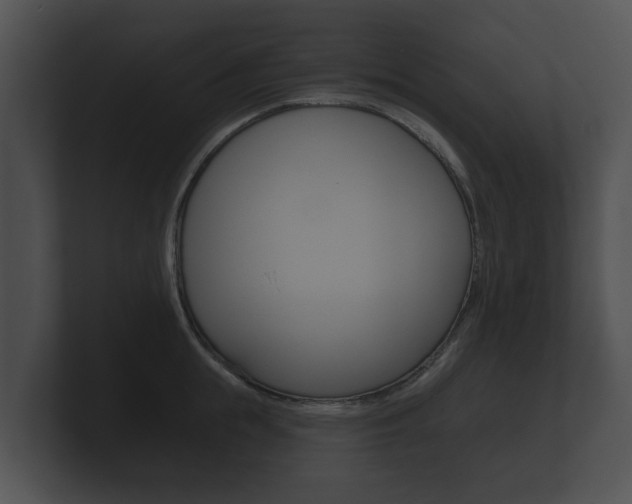 X0000100890855200806241007