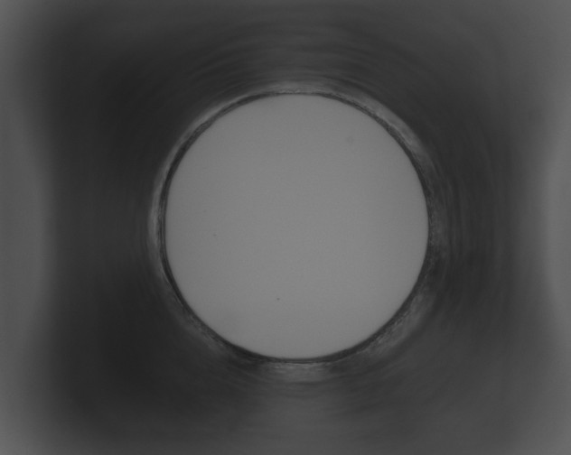 X0000100890856200806241007