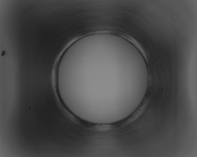 X0000100890859200806241007