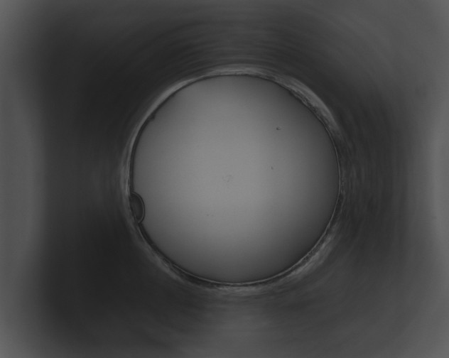 X0000100890860200806241007