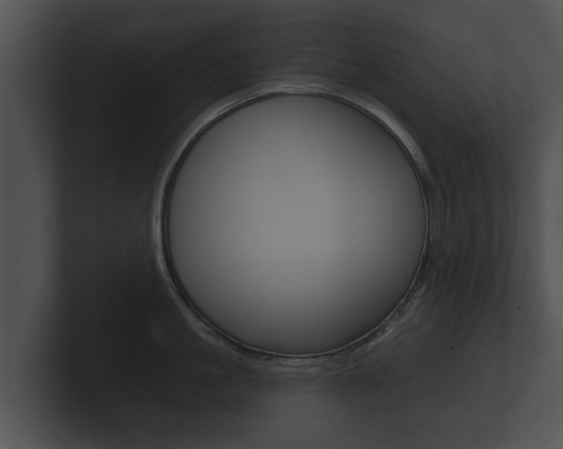 X0000100890861200806241007