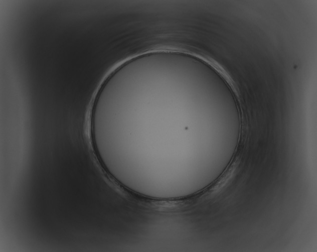 X0000100890862200806241007