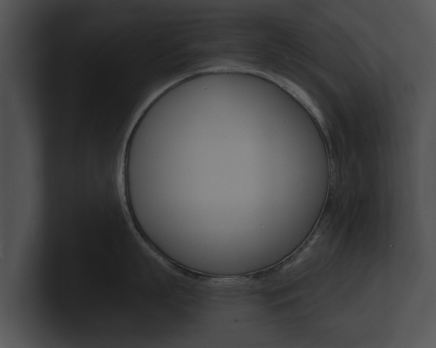 X0000100890863200806241007