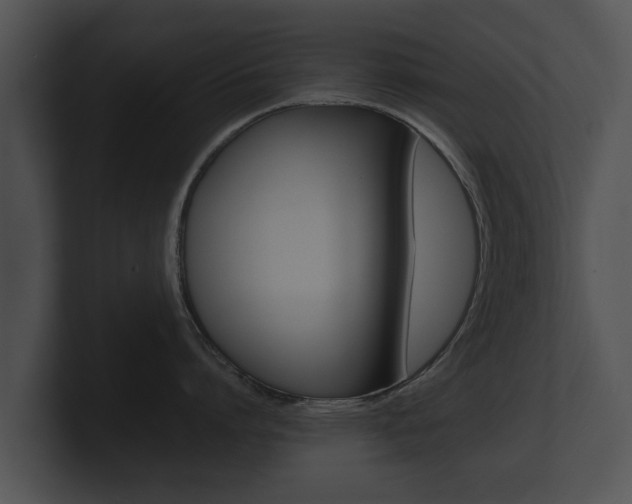 X0000100890864200806241007