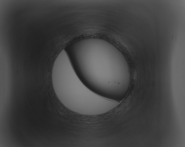 X0000100890868200806241007
