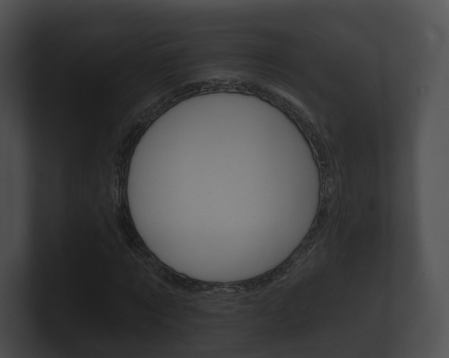 X0000100890869200806241007