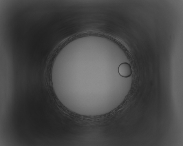 X0000100890872200806241007