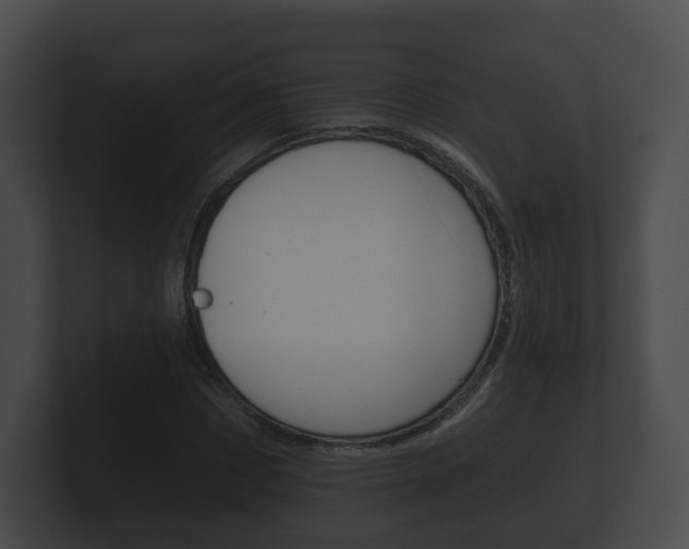 X0000100890873200806241007
