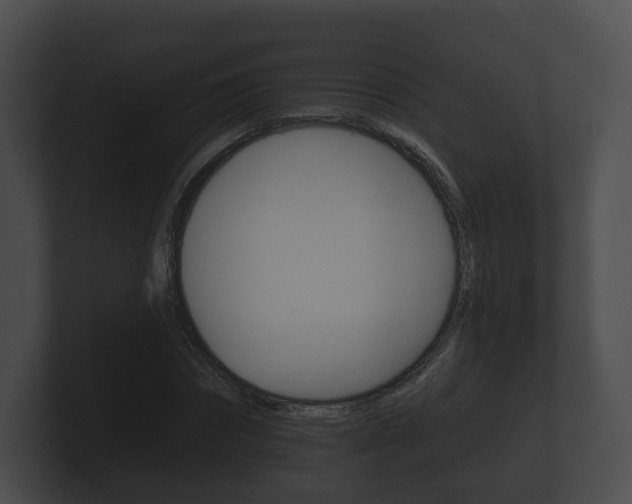 X0000100890874200806241007