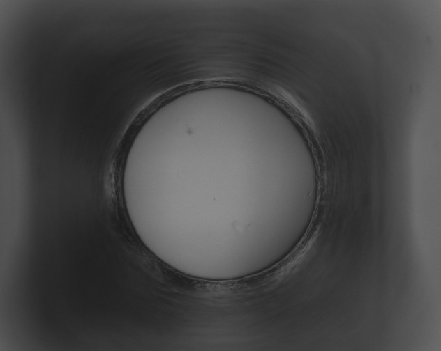 X0000100890875200806241007