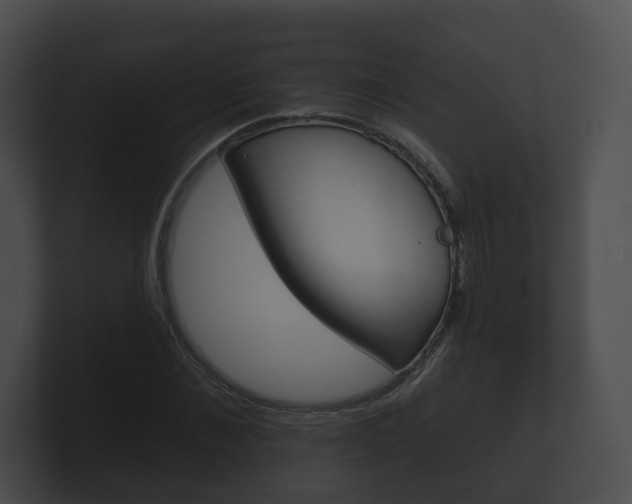 X0000100890876200806241007