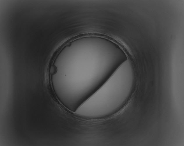 X0000100890877200806241007
