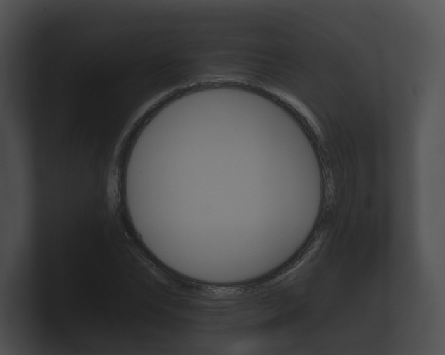 X0000100890878200806241007