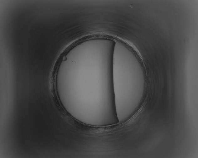 X0000100890879200806241006