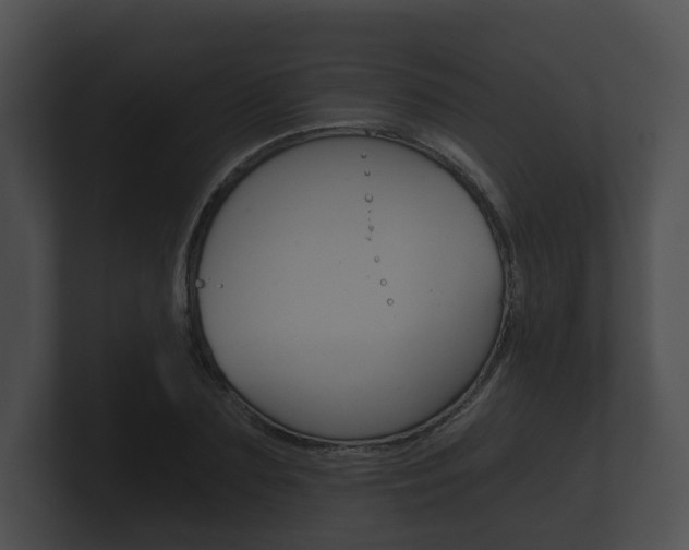 X0000100890883200806241006