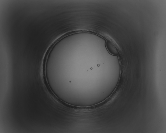 X0000100890884200806241006
