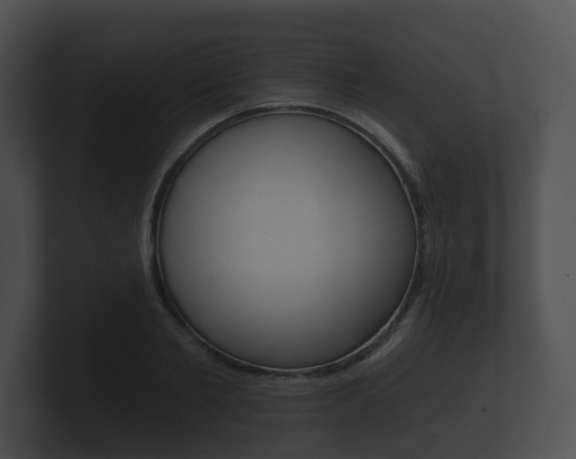 X0000100890885200806241006