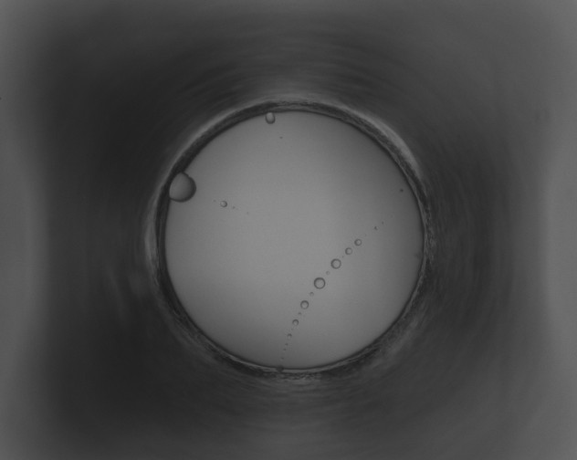 X0000100890887200806241006