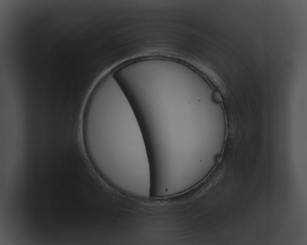 X0000100890888200806241006