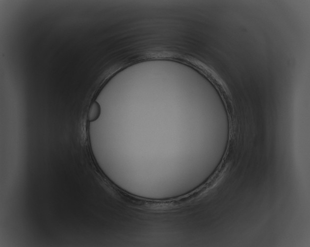 X0000100890889200806241006