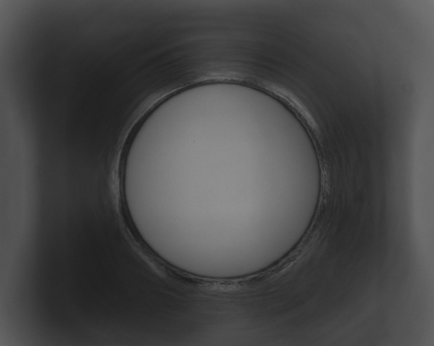 X0000100890890200806241006
