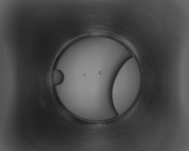 X0000100890891200806241006