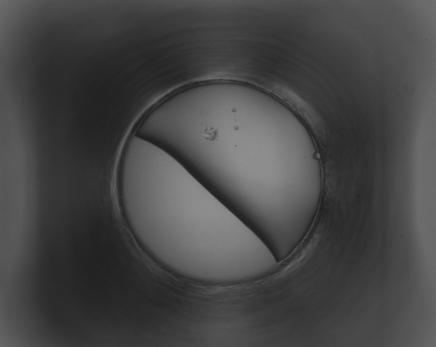X0000100890892200806241006