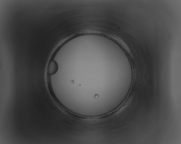 X0000100890893200806241006