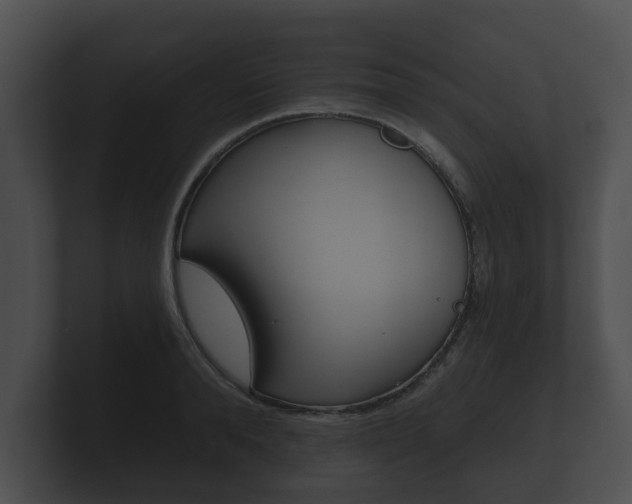 X0000100890896200806241006