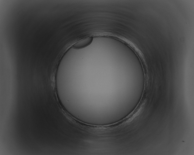 X0000100890897200806241006