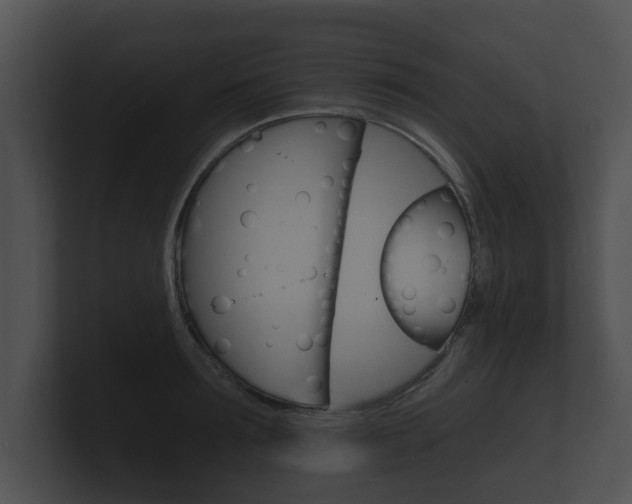 X0000100890899200806241006