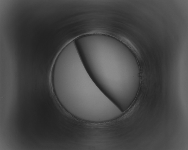 X0000100890900200806241006