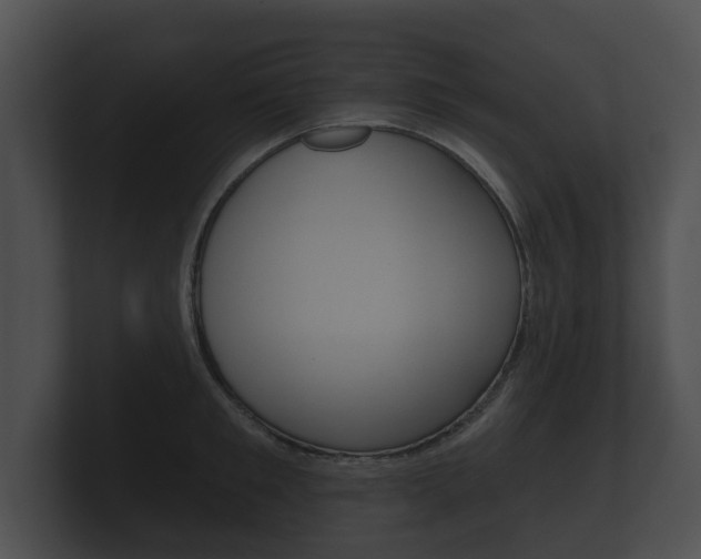 X0000100890901200806241006