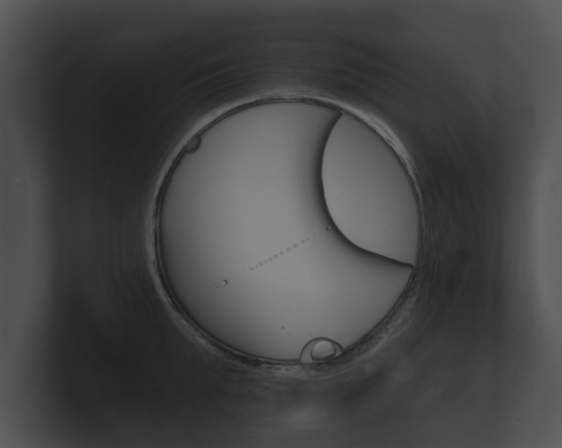 X0000100890903200806241006