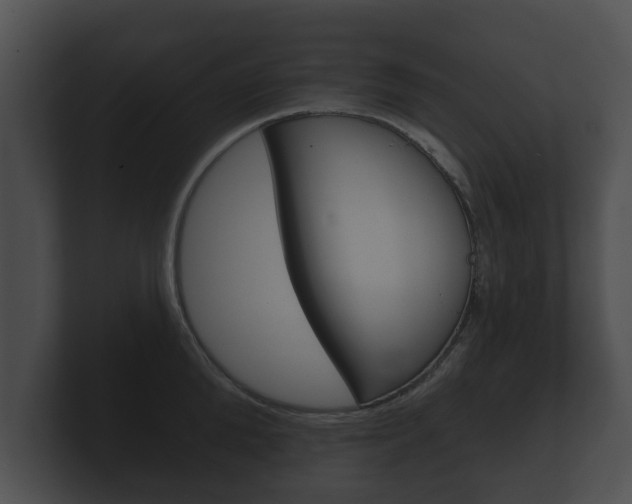 X0000100890904200806241006