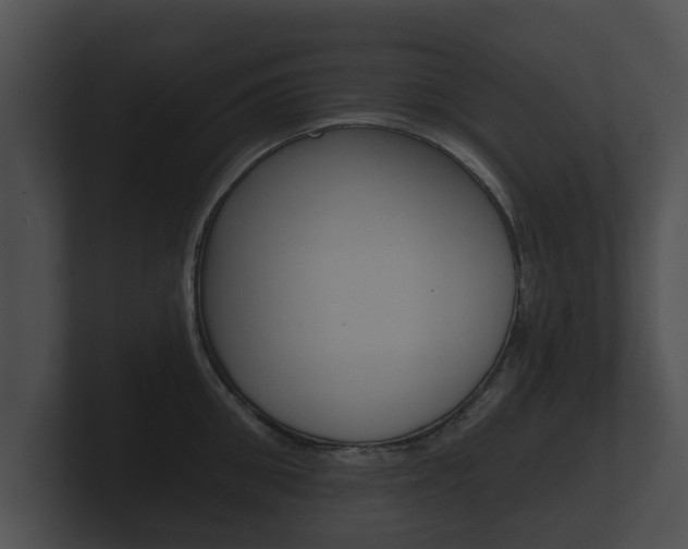 X0000100890906200806241006