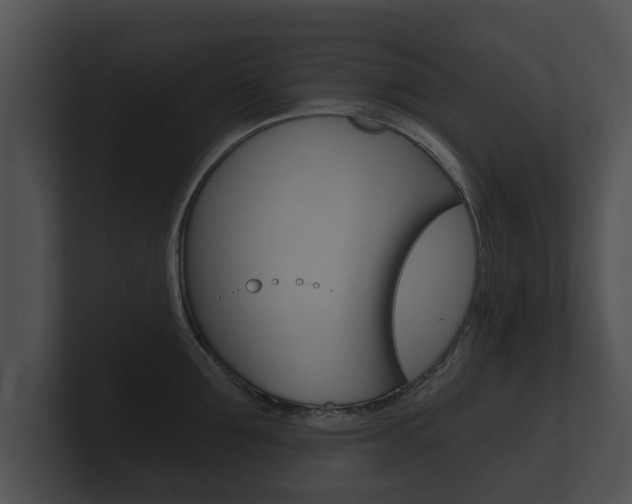X0000100890907200806241006