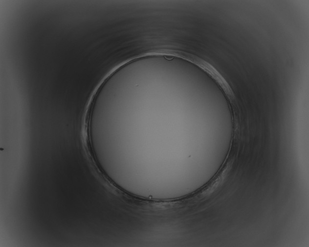 X0000100890908200806241006