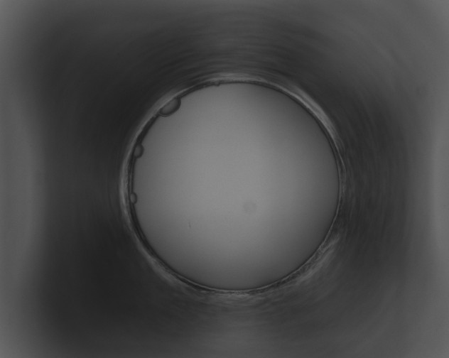 X0000100890909200806241006