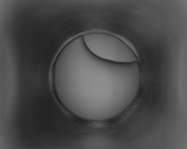 X0000100890911200806241006