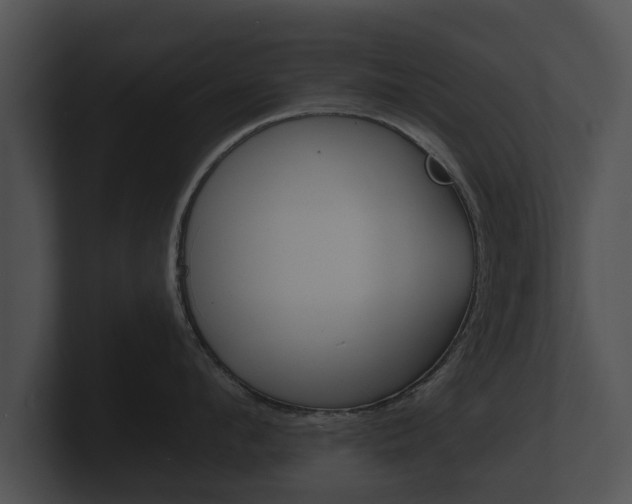 X0000100890912200806241006