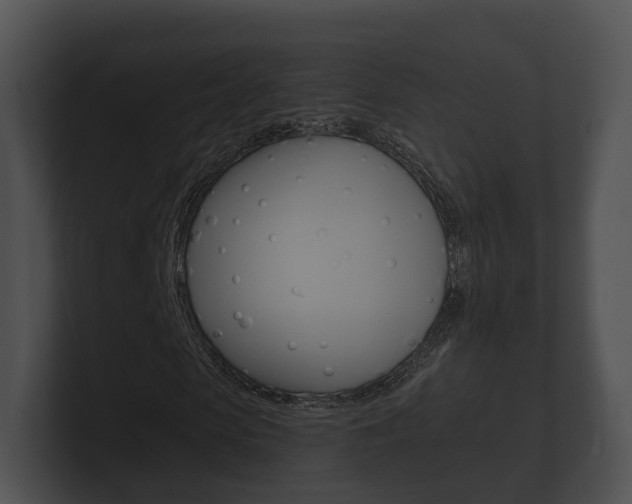 X0000100890913200806241005