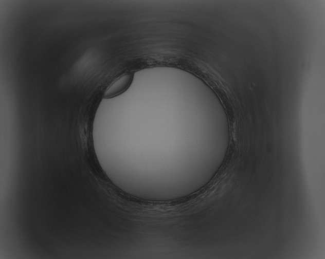 X0000100890915200806241005