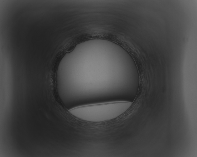 X0000100890916200806241005