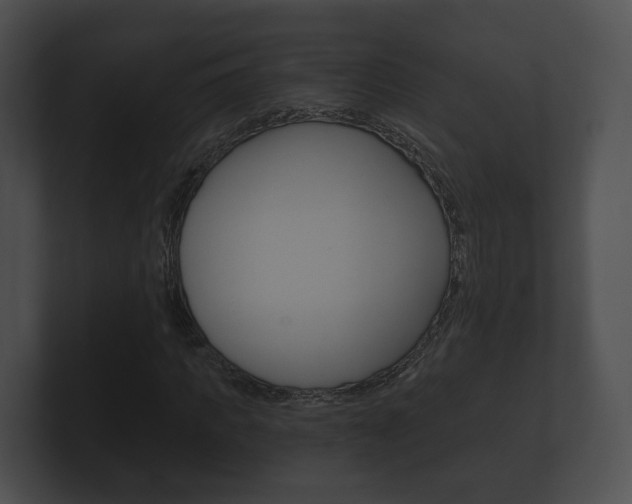 X0000100890917200806241005