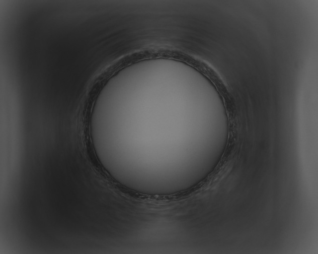X0000100890919200806241005
