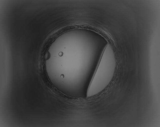 X0000100890920200806241006